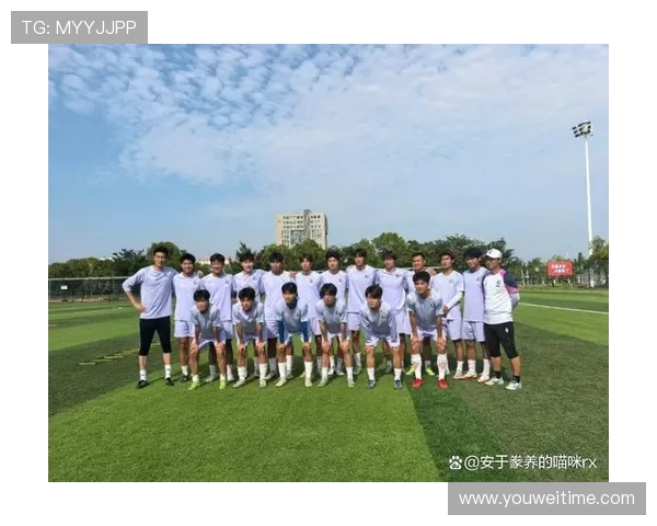 在绿茵场上与足球明星并肩作战的队友们的故事与荣耀